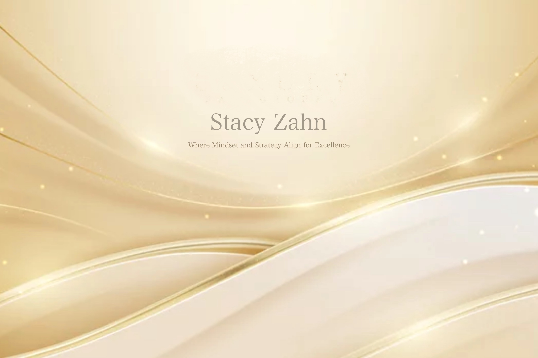 Stacy Zahn Website